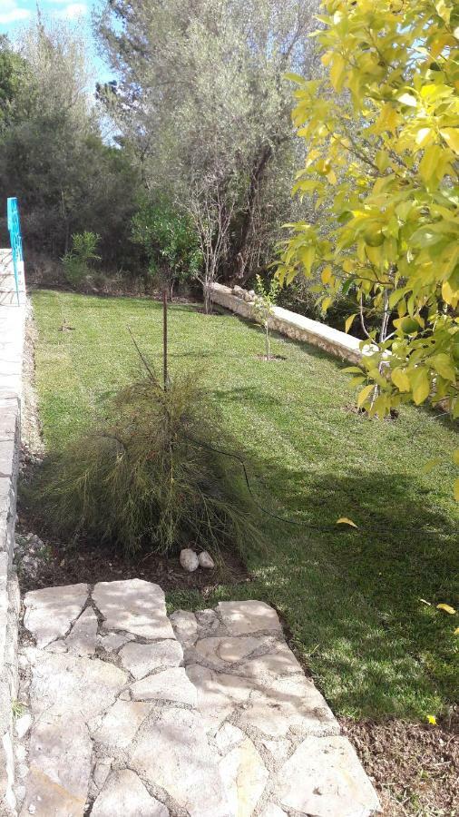 Kallimos Vassiliki Esterno foto